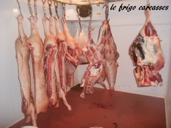 Frigo carcasse
